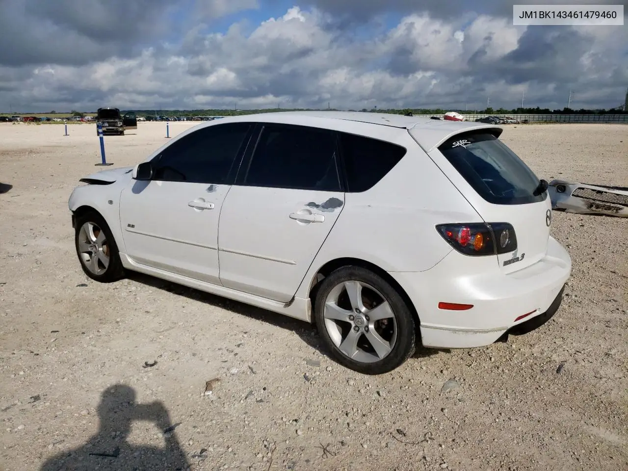 2006 Mazda 3 Hatchback VIN: JM1BK143461479460 Lot: 62526375