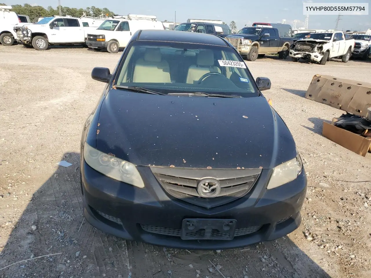 2005 Mazda 6 S VIN: 1YVHP80D555M57794 Lot: 50423205