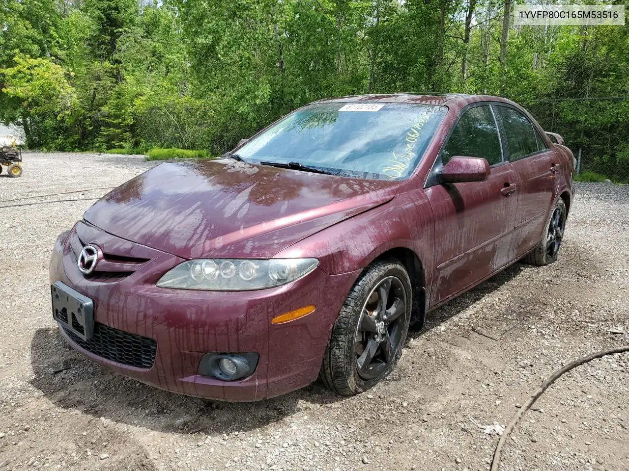 2006 Mazda 6 I VIN: 1YVFP80C165M53516 Lot: 61102185