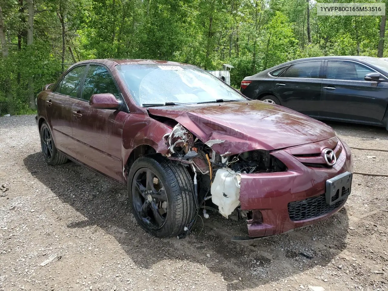 2006 Mazda 6 I VIN: 1YVFP80C165M53516 Lot: 61102185