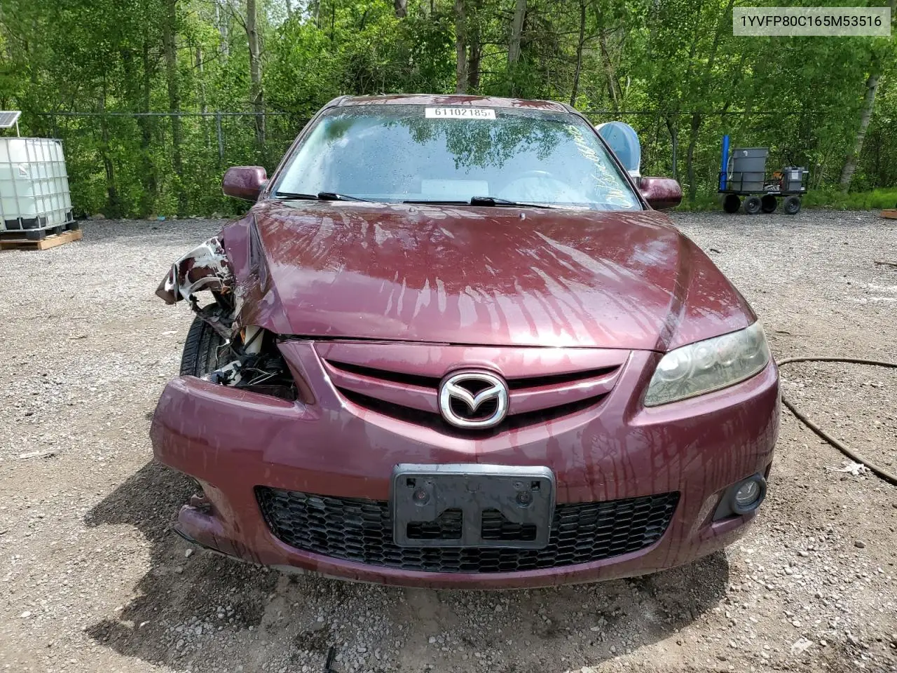 2006 Mazda 6 I VIN: 1YVFP80C165M53516 Lot: 61102185