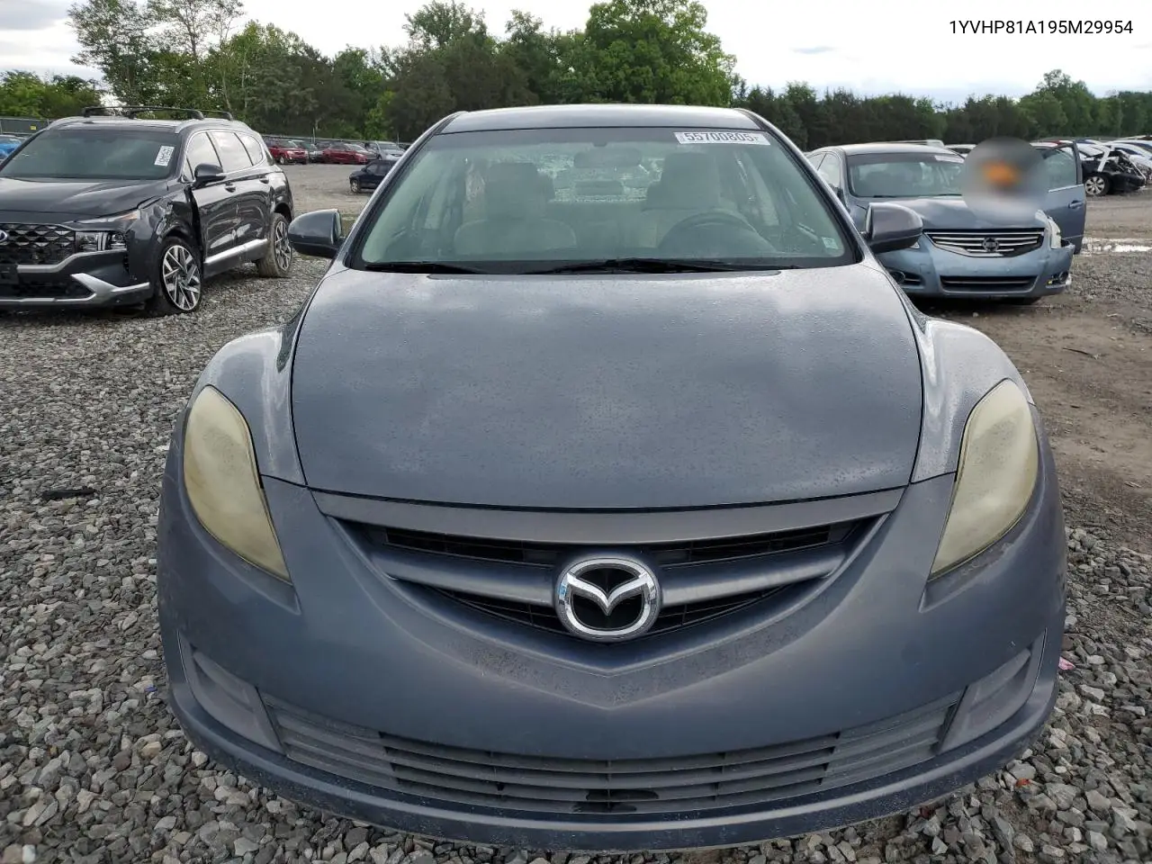2009 Mazda 6 I VIN: 1YVHP81A195M29954 Lot: 55700805