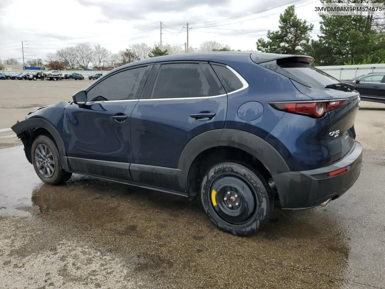 2023 Mazda Cx-30 VIN: 3MVDMBAM9PM524675 Lot: 51523015