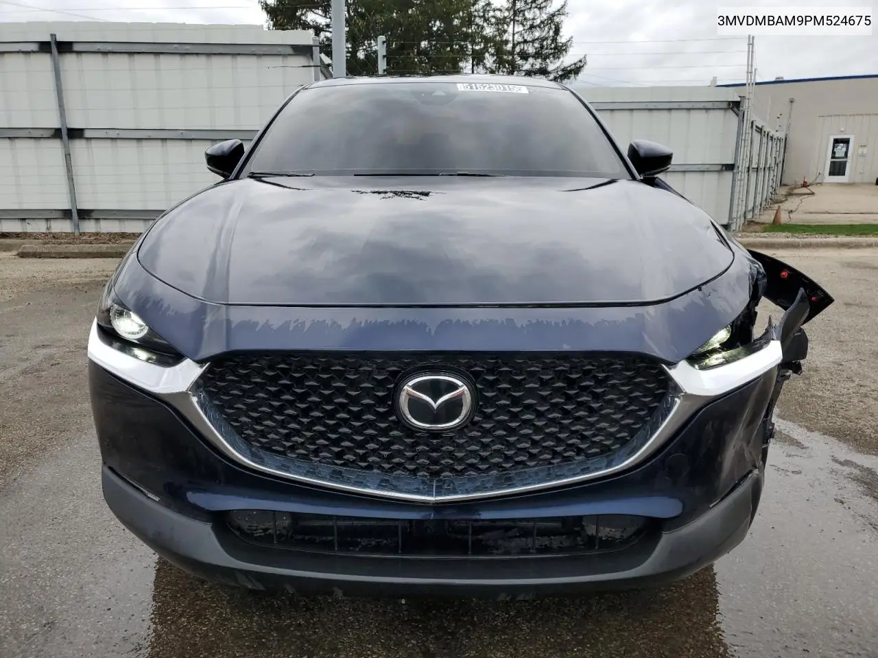 2023 Mazda Cx-30 VIN: 3MVDMBAM9PM524675 Lot: 51523015
