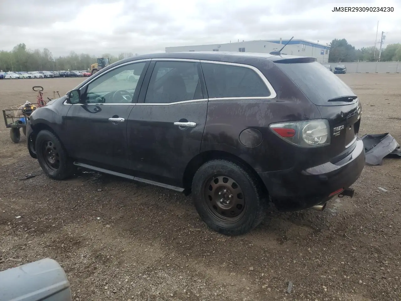 2009 Mazda Cx-7 VIN: JM3ER293090234230 Lot: 56998155