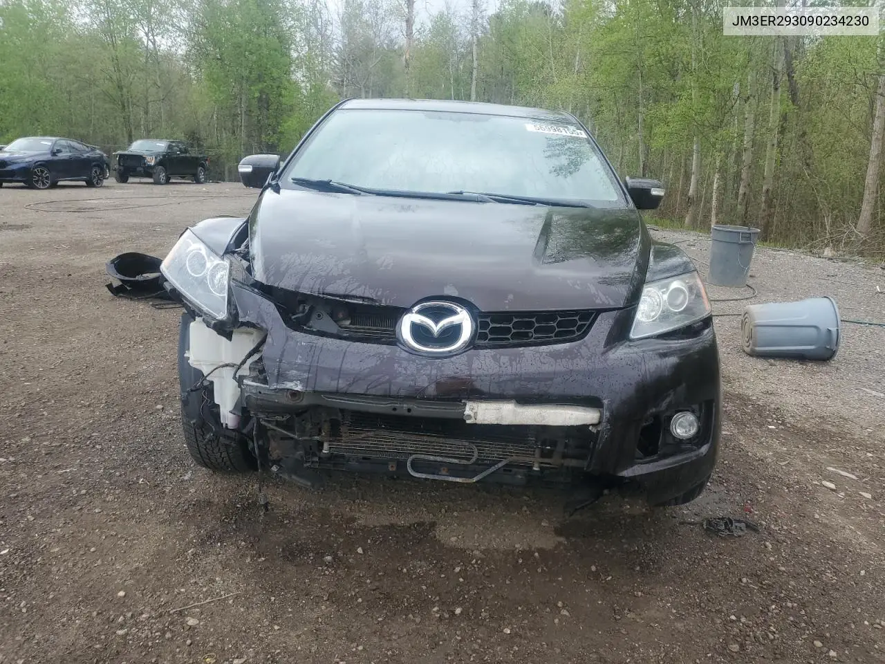 2009 Mazda Cx-7 VIN: JM3ER293090234230 Lot: 56998155