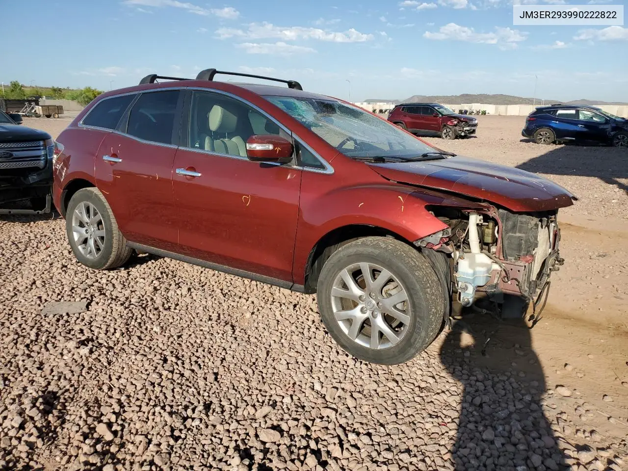 2009 Mazda Cx-7 VIN: JM3ER293990222822 Lot: 62336805