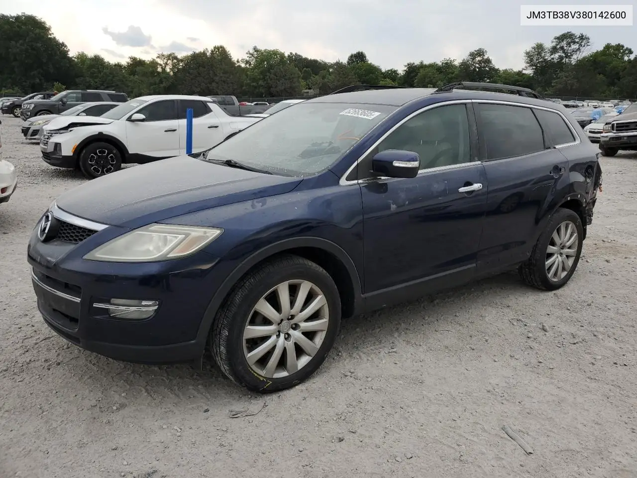 2008 Mazda Cx-9 VIN: JM3TB38V380142600 Lot: 62663605