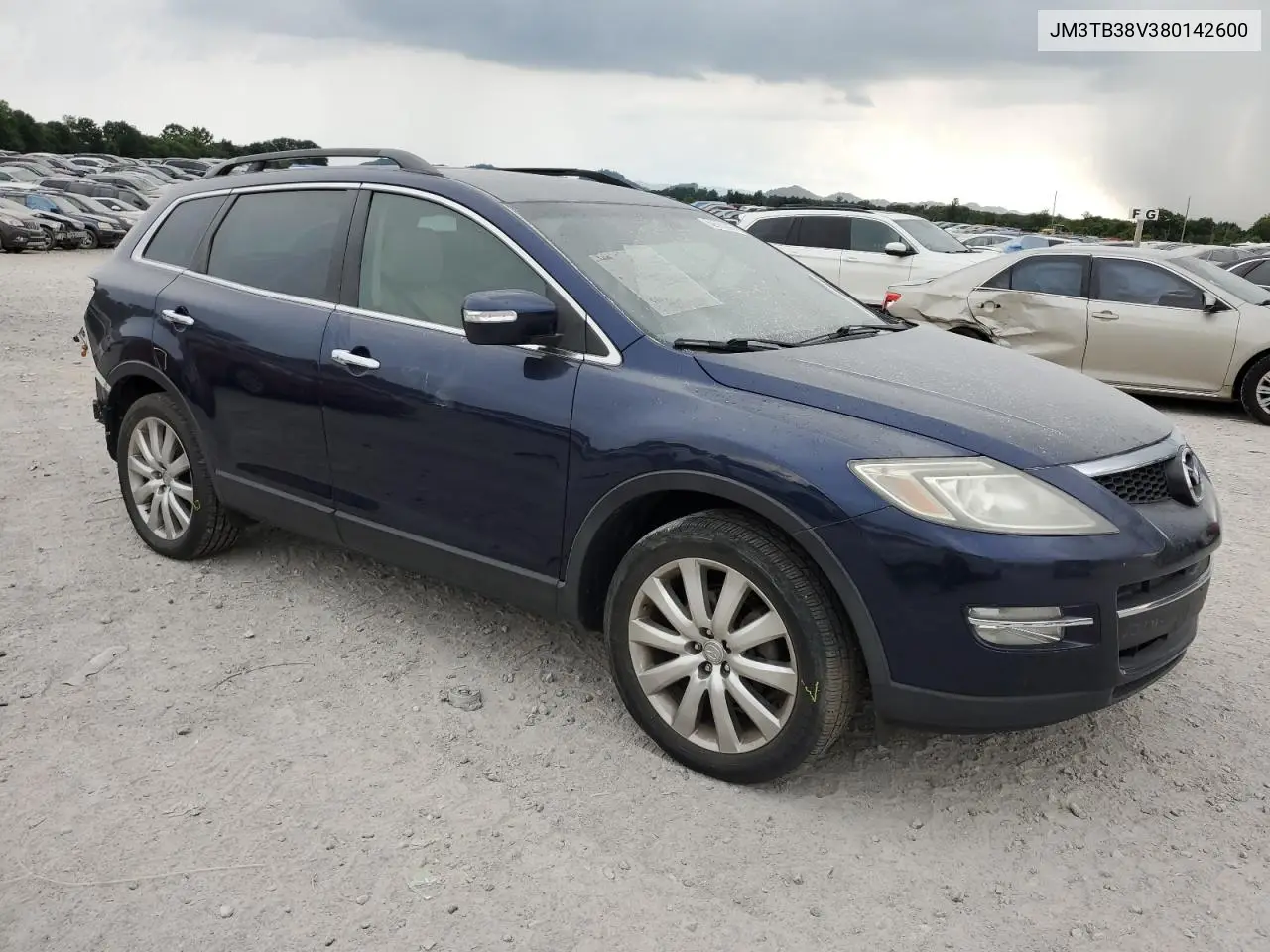 2008 Mazda Cx-9 VIN: JM3TB38V380142600 Lot: 62663605
