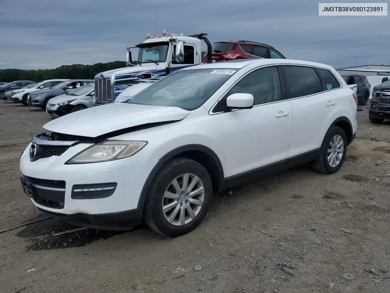 2008 Mazda Cx-9 VIN: JM3TB38V080123891 Lot: 62686215