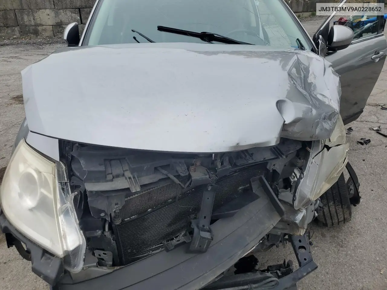 2010 Mazda Cx-9 VIN: JM3TB3MV9A0228652 Lot: 61540585