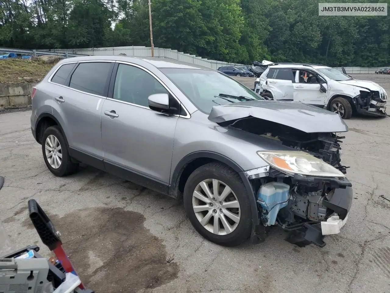 2010 Mazda Cx-9 VIN: JM3TB3MV9A0228652 Lot: 61540585