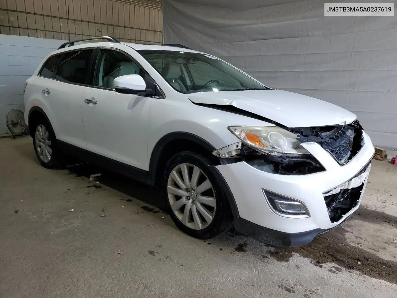 2010 Mazda Cx-9 VIN: JM3TB3MA5A0237619 Lot: 61635835