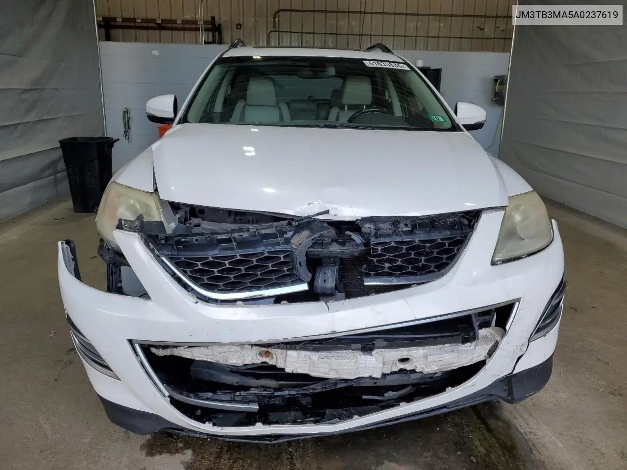 2010 Mazda Cx-9 VIN: JM3TB3MA5A0237619 Lot: 61635835