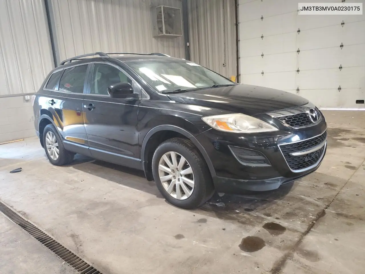 2010 Mazda Cx-9 VIN: JM3TB3MV0A0230175 Lot: 62549985