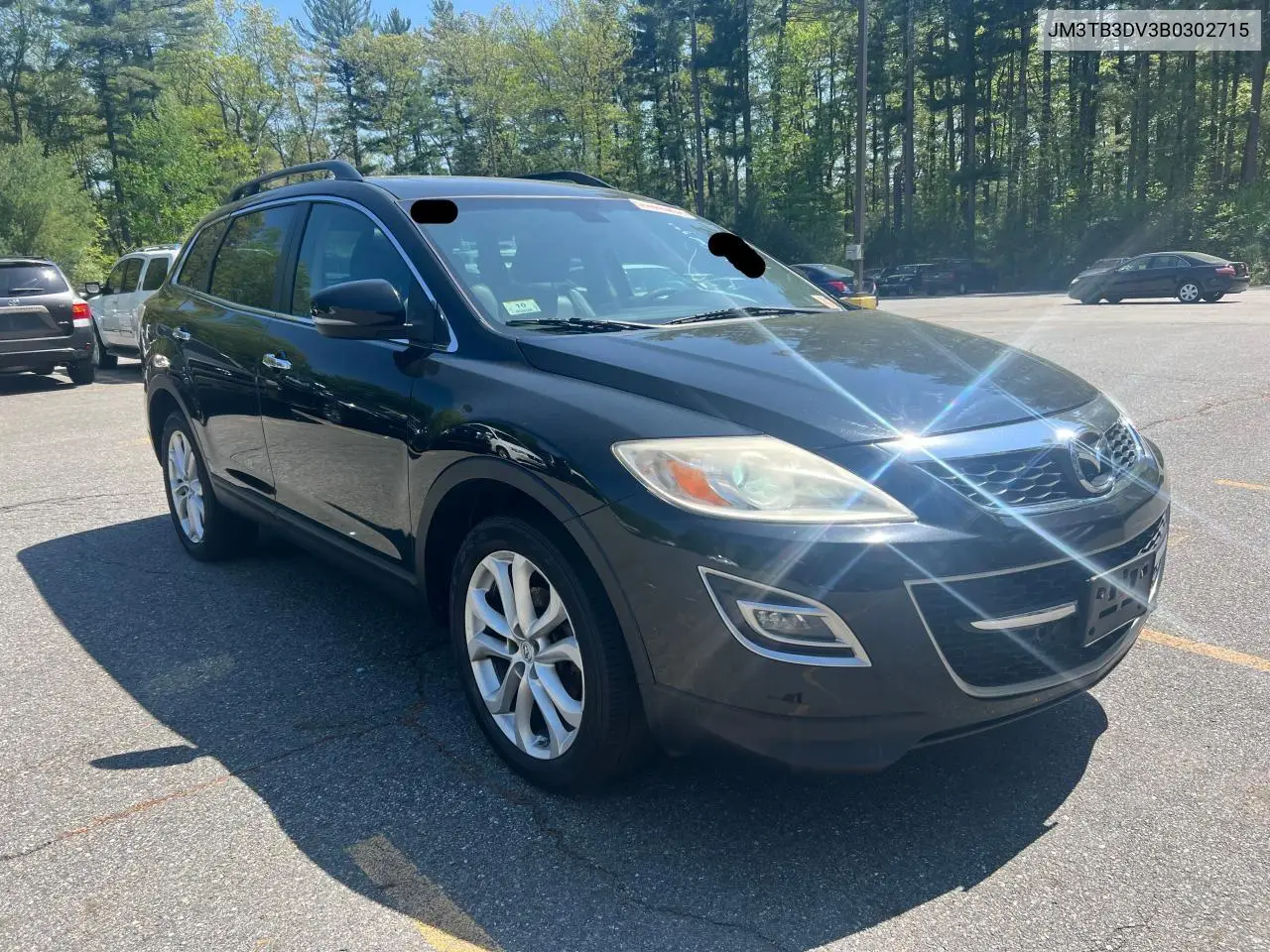 2011 Mazda Cx-9 VIN: JM3TB3DV3B0302715 Lot: 56952095