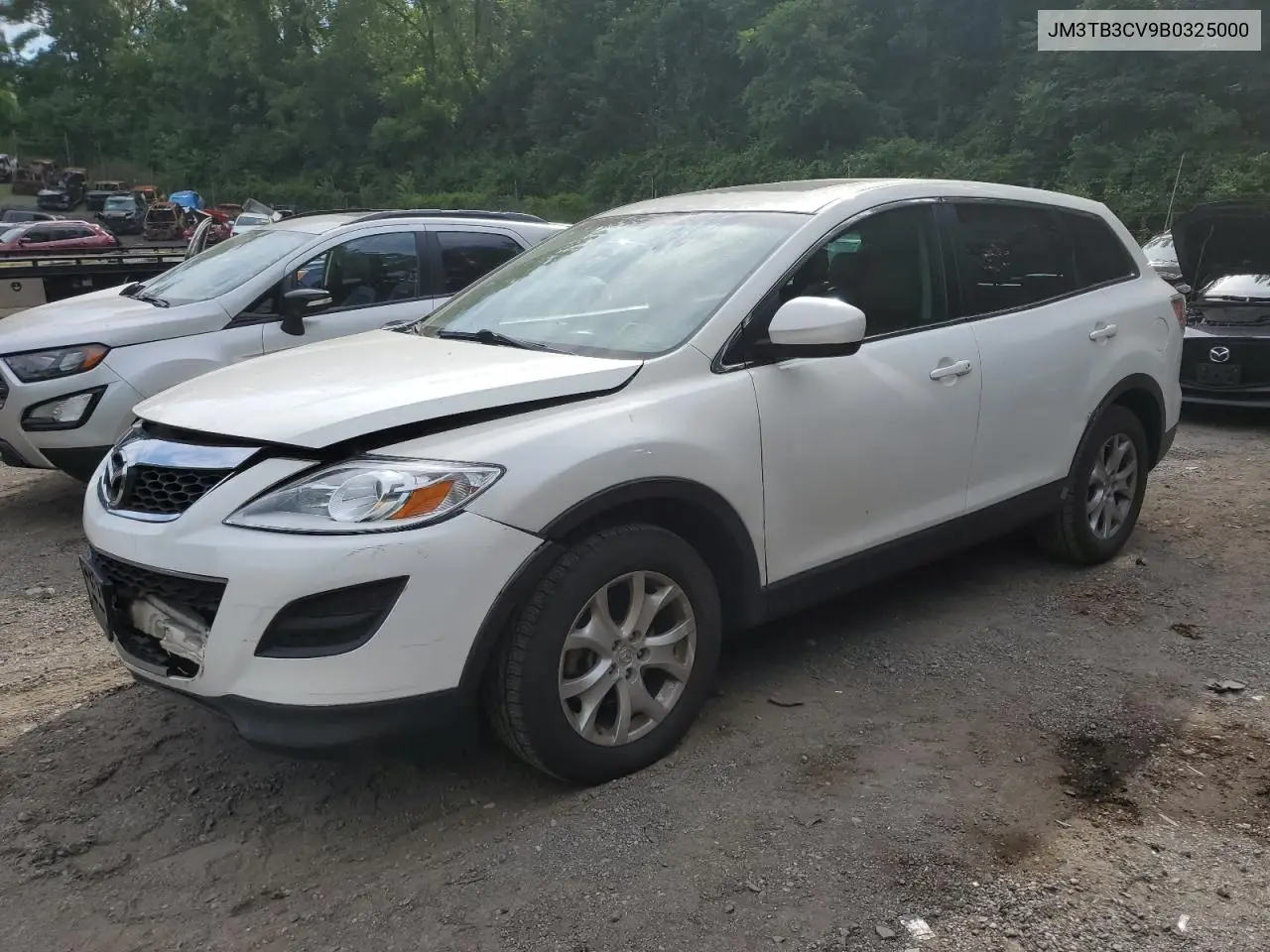 2011 Mazda Cx-9 VIN: JM3TB3CV9B0325000 Lot: 61752185