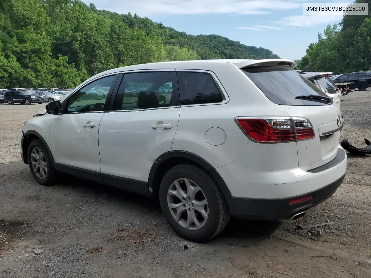 2011 Mazda Cx-9 VIN: JM3TB3CV9B0325000 Lot: 61752185