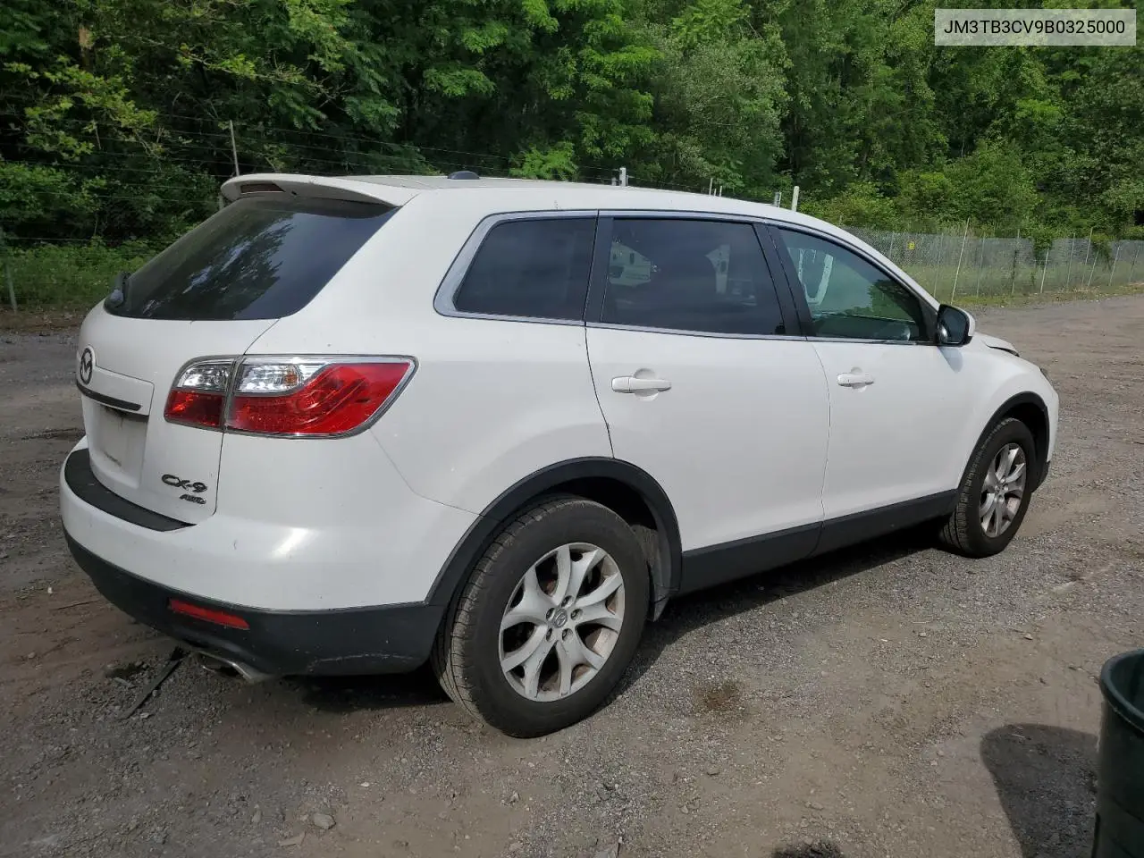 2011 Mazda Cx-9 VIN: JM3TB3CV9B0325000 Lot: 61752185
