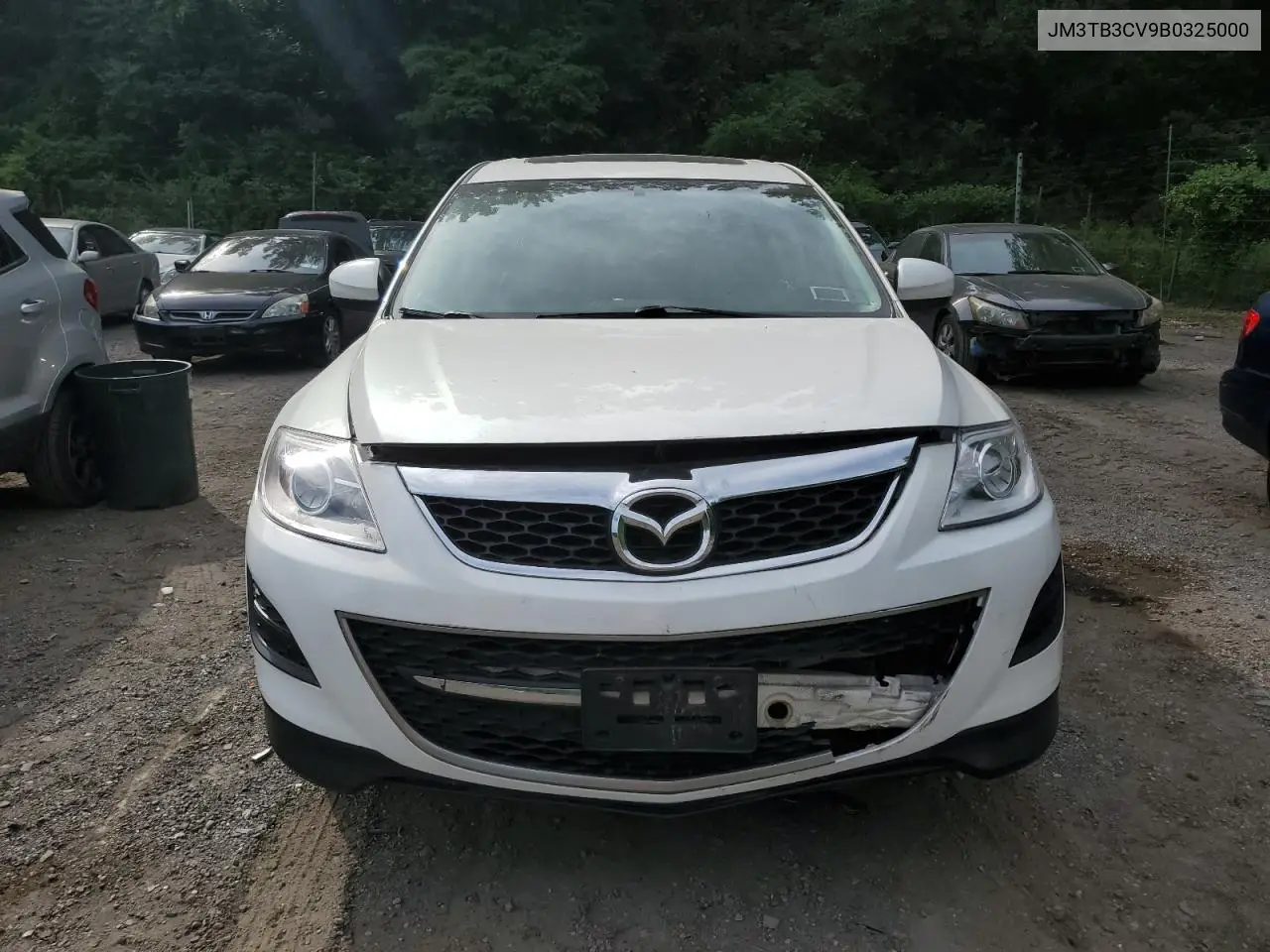 2011 Mazda Cx-9 VIN: JM3TB3CV9B0325000 Lot: 61752185