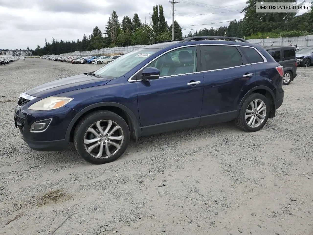 2011 Mazda Cx-9 VIN: JM3TB3DV1B0311445 Lot: 62597485