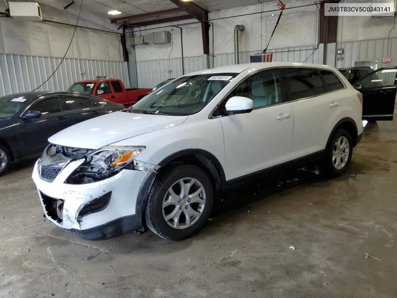 2012 Mazda Cx-9 VIN: JM3TB3CV5C0343141 Lot: 58255815