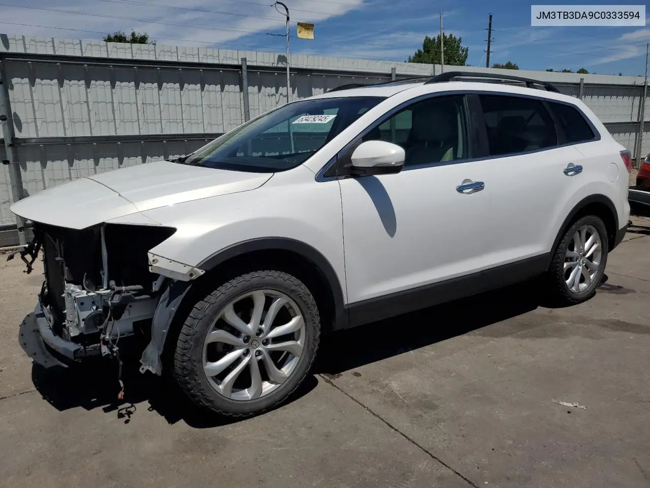 2012 Mazda Cx-9 VIN: JM3TB3DA9C0333594 Lot: 63429245