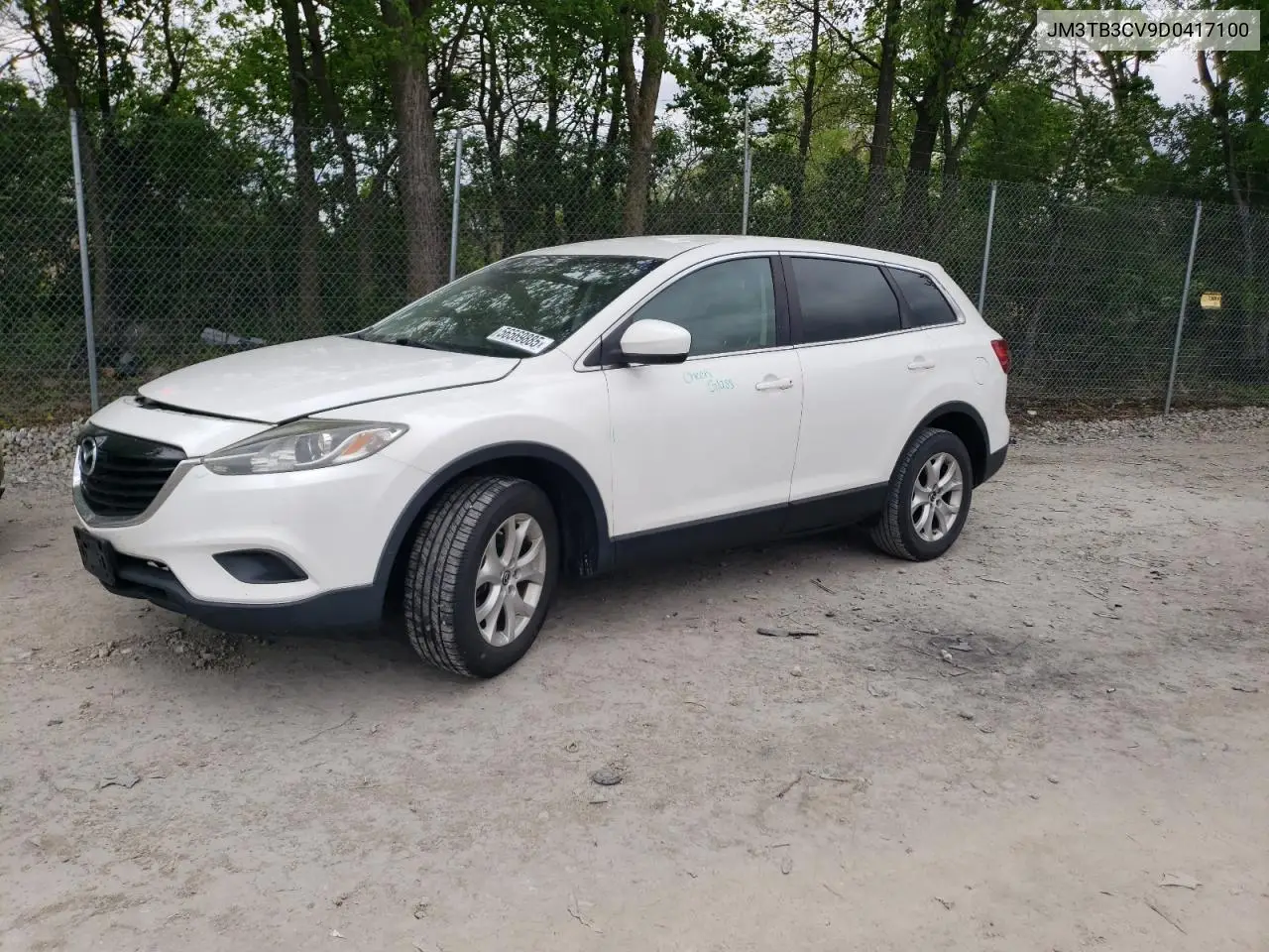 2013 Mazda Cx-9 Touring VIN: JM3TB3CV9D0417100 Lot: 56569885