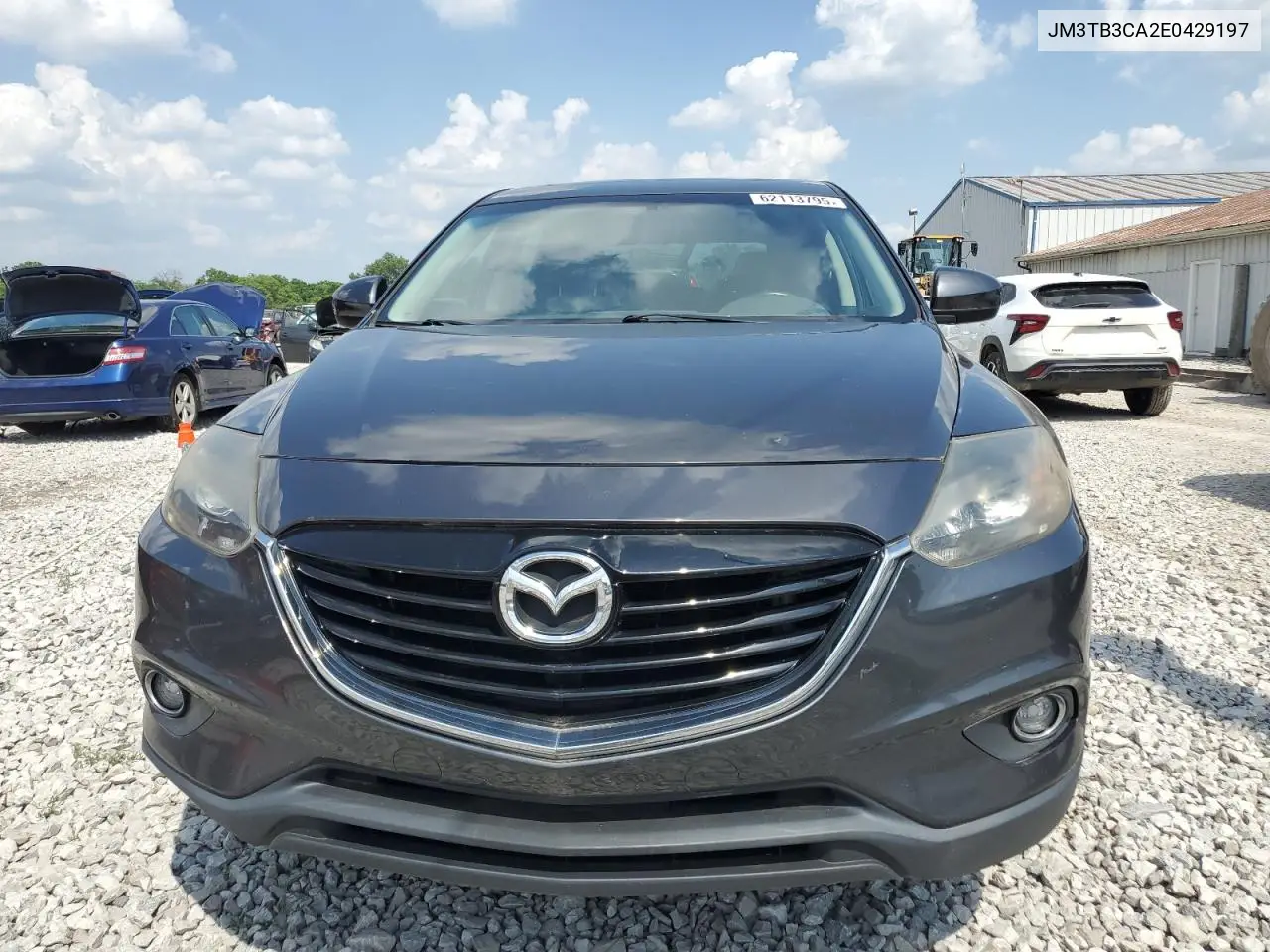2014 Mazda Cx-9 Touring VIN: JM3TB3CA2E0429197 Lot: 62113795