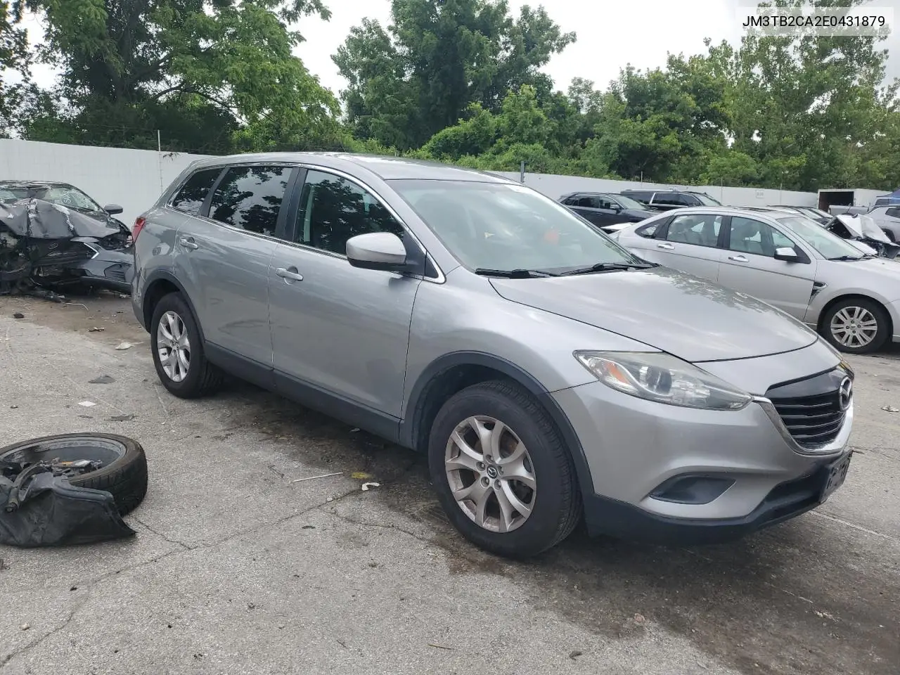 2014 Mazda Cx-9 Touring VIN: JM3TB2CA2E0431879 Lot: 64778845