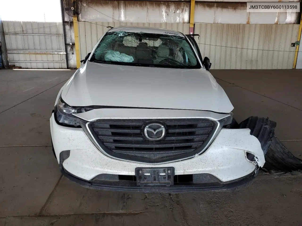 2016 Mazda Cx-9 Touring VIN: JM3TCBBY6G0113598 Lot: 62902805