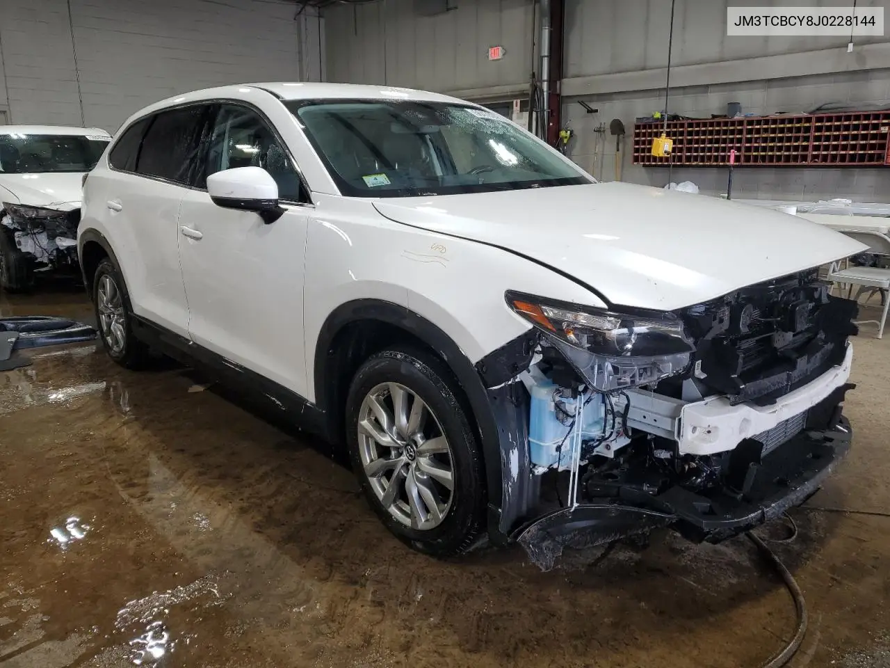 2018 Mazda Cx-9 Touring VIN: JM3TCBCY8J0228144 Lot: 56479245