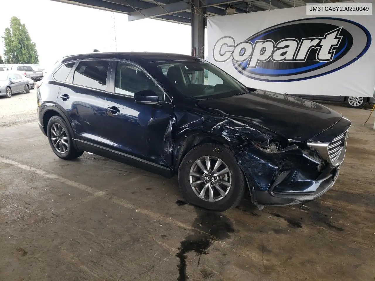 2018 Mazda Cx-9 Sport VIN: JM3TCABY2J0220049 Lot: 60175175