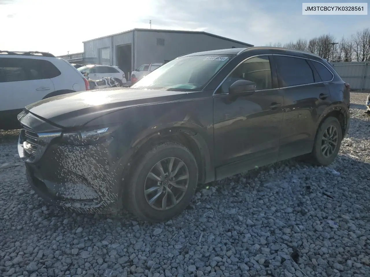 2019 Mazda Cx-9 Touring VIN: JM3TCBCY7K0328561 Lot: 49669455