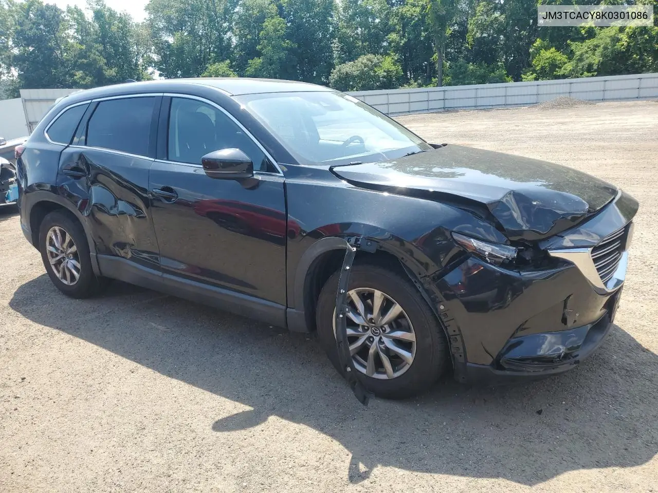 2019 Mazda Cx-9 Touring VIN: JM3TCACY8K0301086 Lot: 62193975