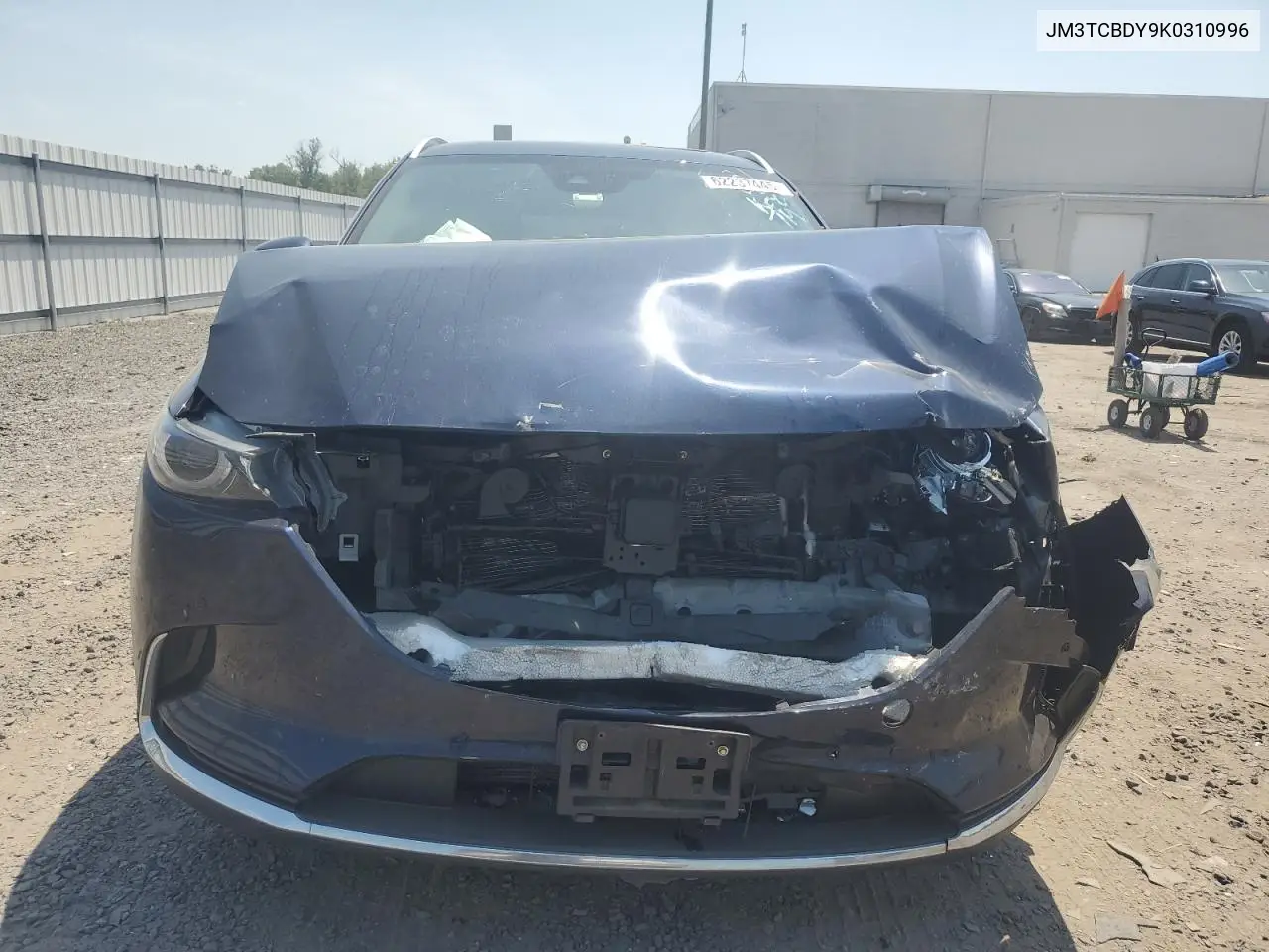2019 Mazda Cx-9 Grand Touring VIN: JM3TCBDY9K0310996 Lot: 62237445