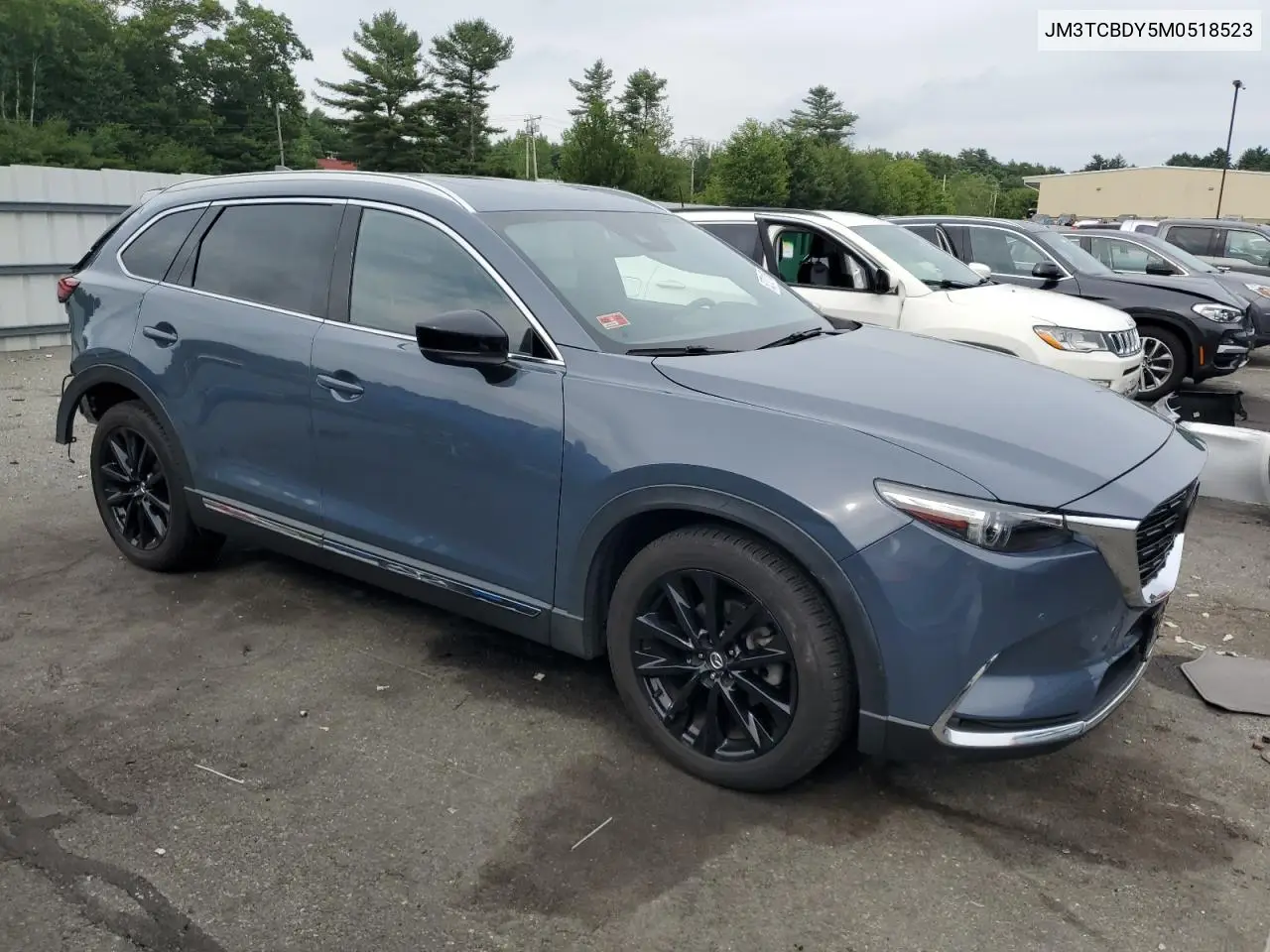 2021 Mazda Cx-9 Grand Touring VIN: JM3TCBDY5M0518523 Lot: 62721165