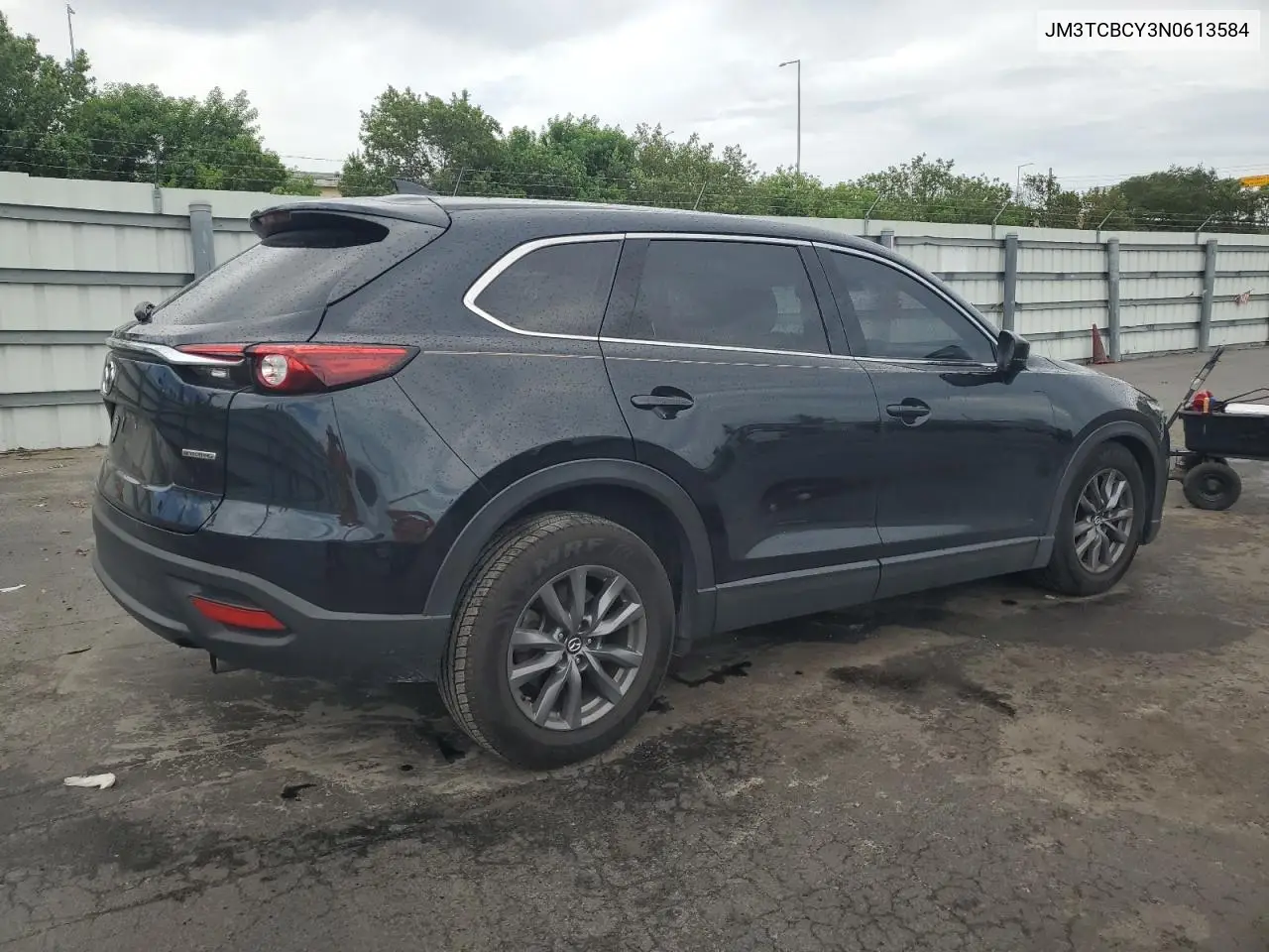 2022 Mazda Cx-9 Touring VIN: JM3TCBCY3N0613584 Lot: 62630605