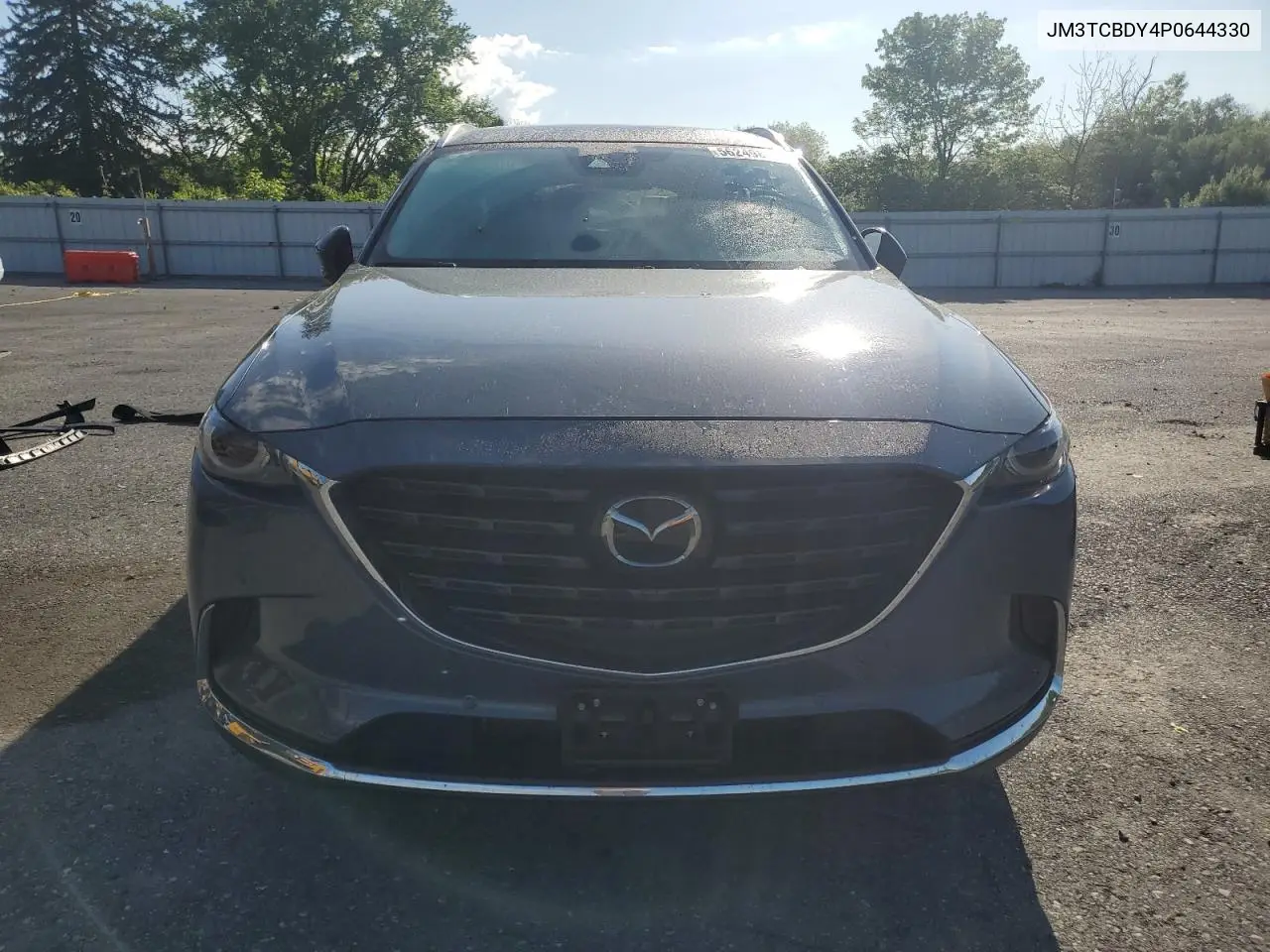 2023 Mazda Cx-9 Grand Touring VIN: JM3TCBDY4P0644330 Lot: 56249805