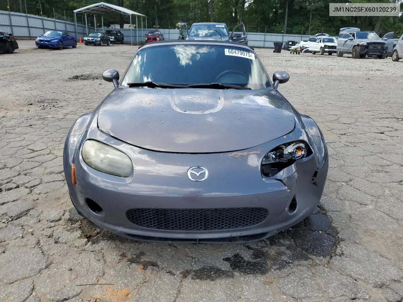 2006 Mazda Mx-5 Miata VIN: JM1NC25FX60120239 Lot: 60479075
