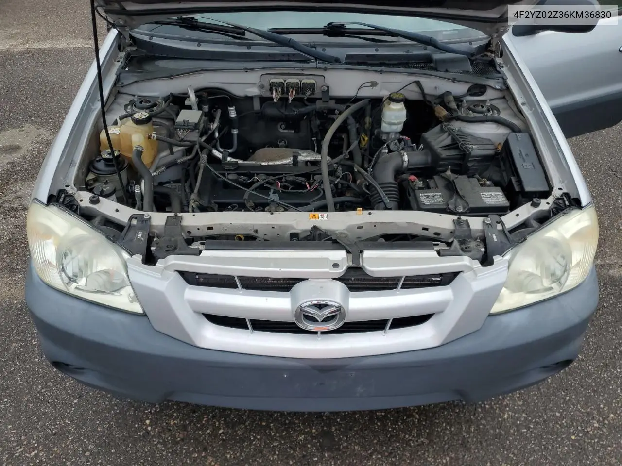 2006 Mazda Tribute I VIN: 4F2YZ02Z36KM36830 Lot: 65039365