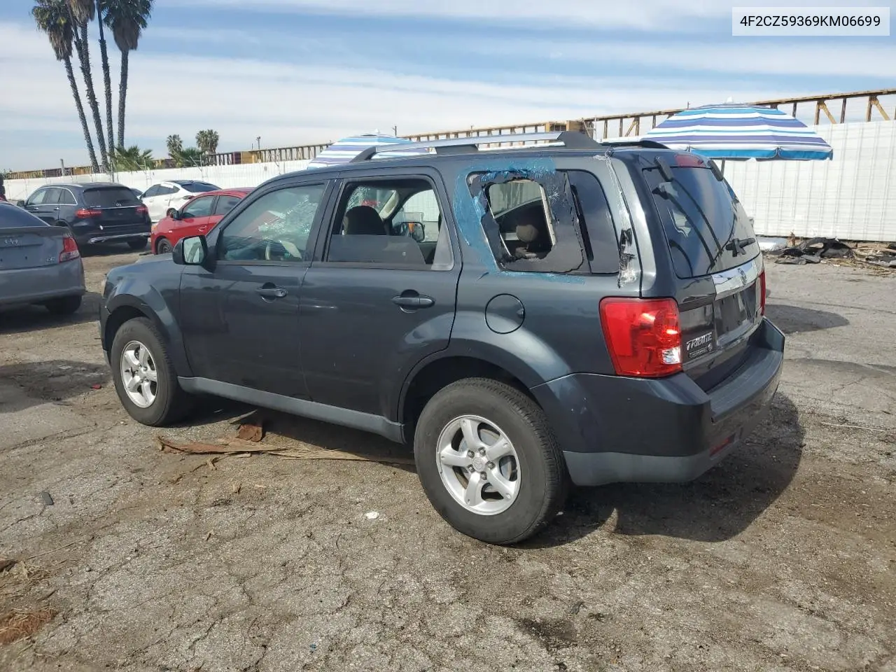2009 Mazda Tribute Hybrid VIN: 4F2CZ59369KM06699 Lot: 44941475