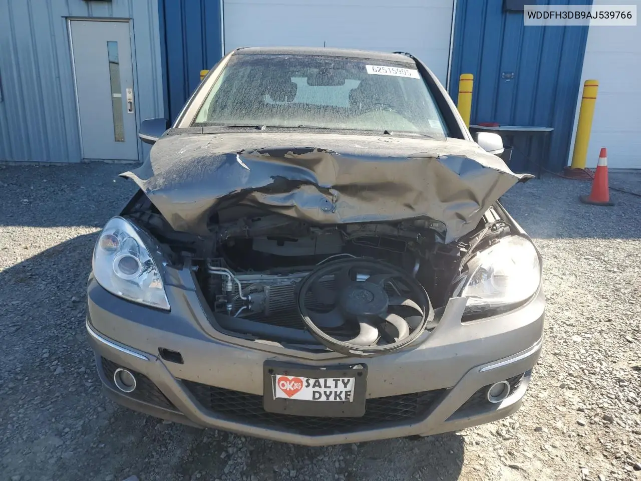2010 Mercedes-Benz B200 VIN: WDDFH3DB9AJ539766 Lot: 62515905