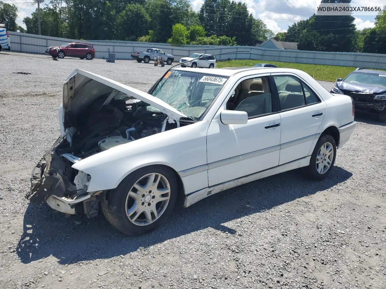1999 Mercedes-Benz C 230 VIN: WDBHA24G3XA786656 Lot: 56043675