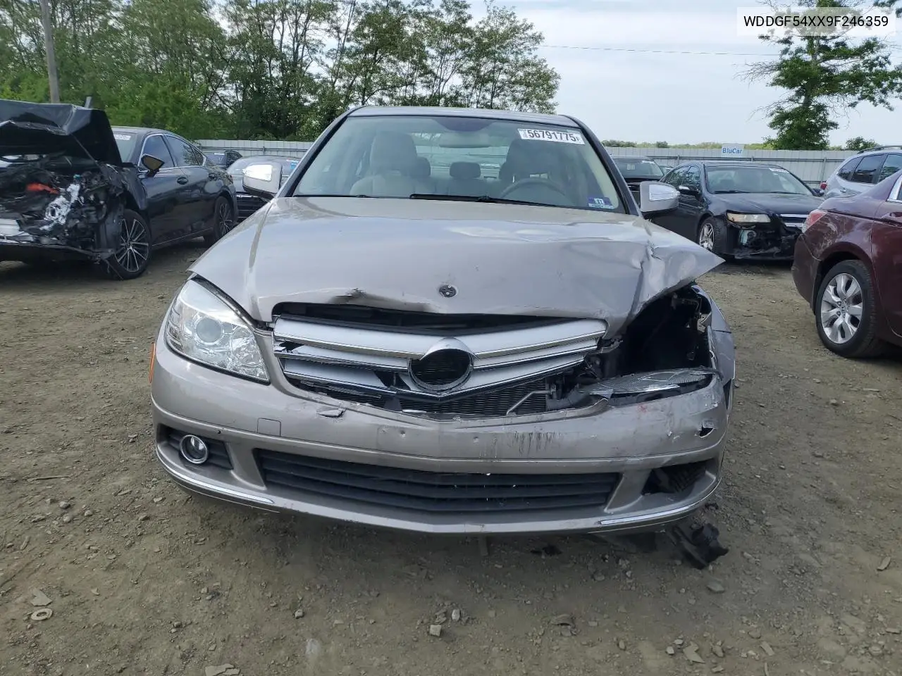 2009 Mercedes-Benz C 300 VIN: WDDGF54XX9F246359 Lot: 56791775
