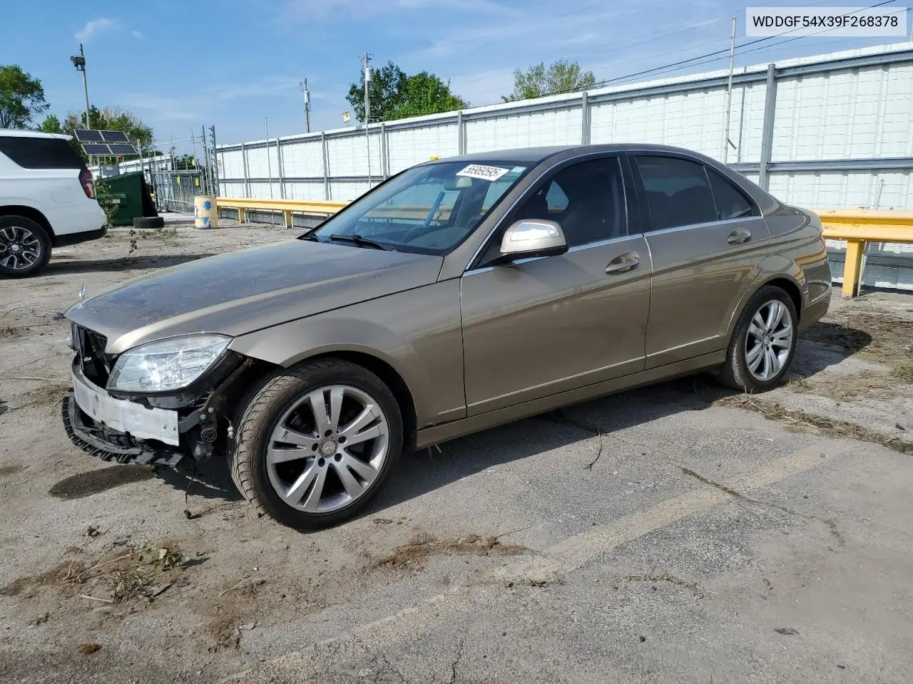2009 Mercedes-Benz C 300 VIN: WDDGF54X39F268378 Lot: 56969595