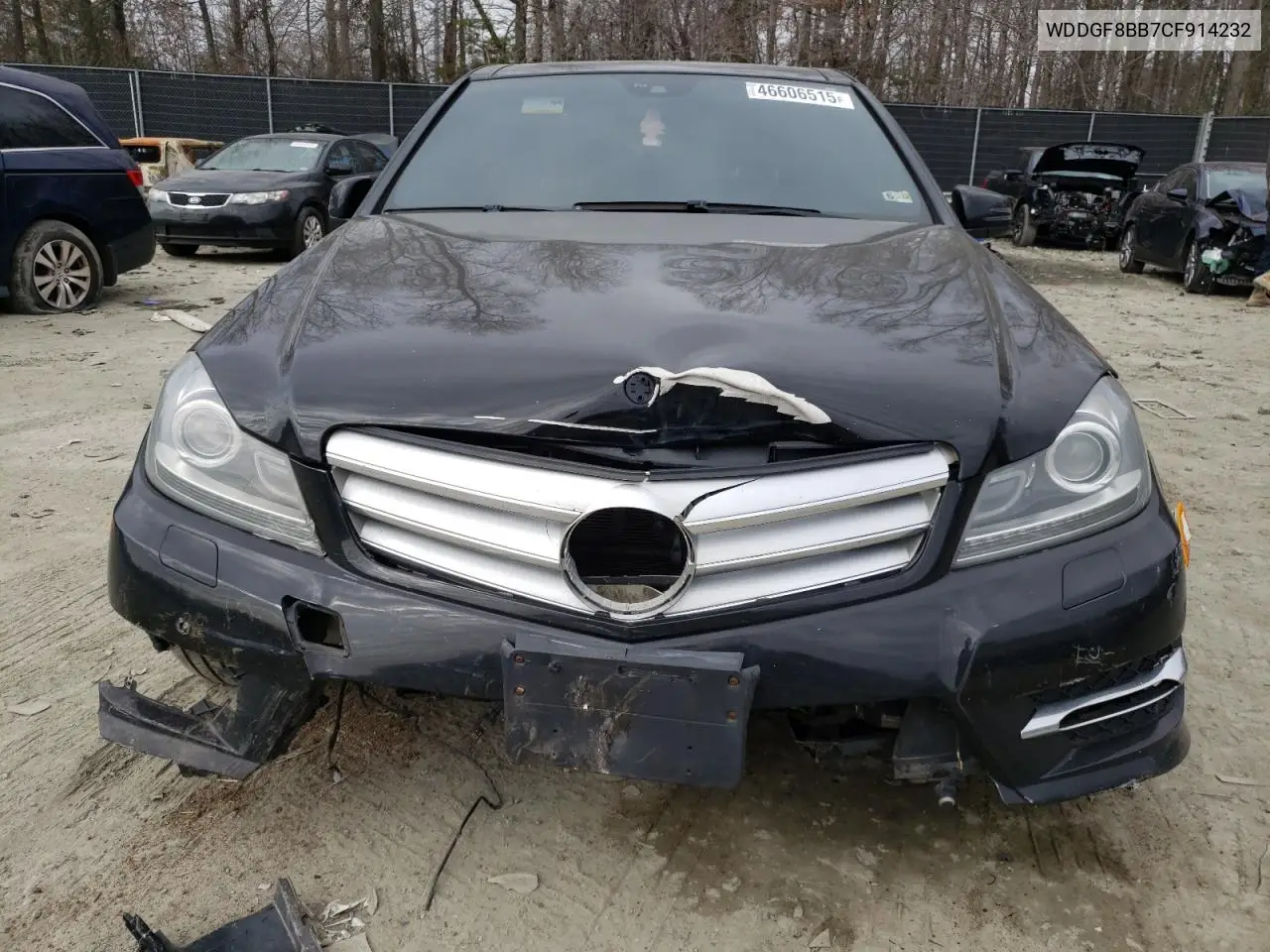2012 Mercedes-Benz C 300 4Matic VIN: WDDGF8BB7CF914232 Lot: 46606515