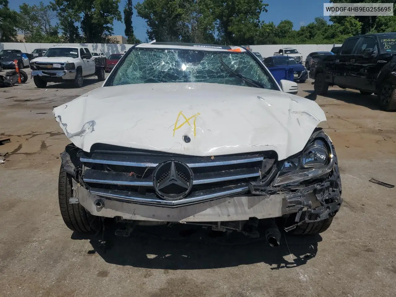 2014 Mercedes-Benz C 250 VIN: WDDGF4HB9EG255695 Lot: 64775925