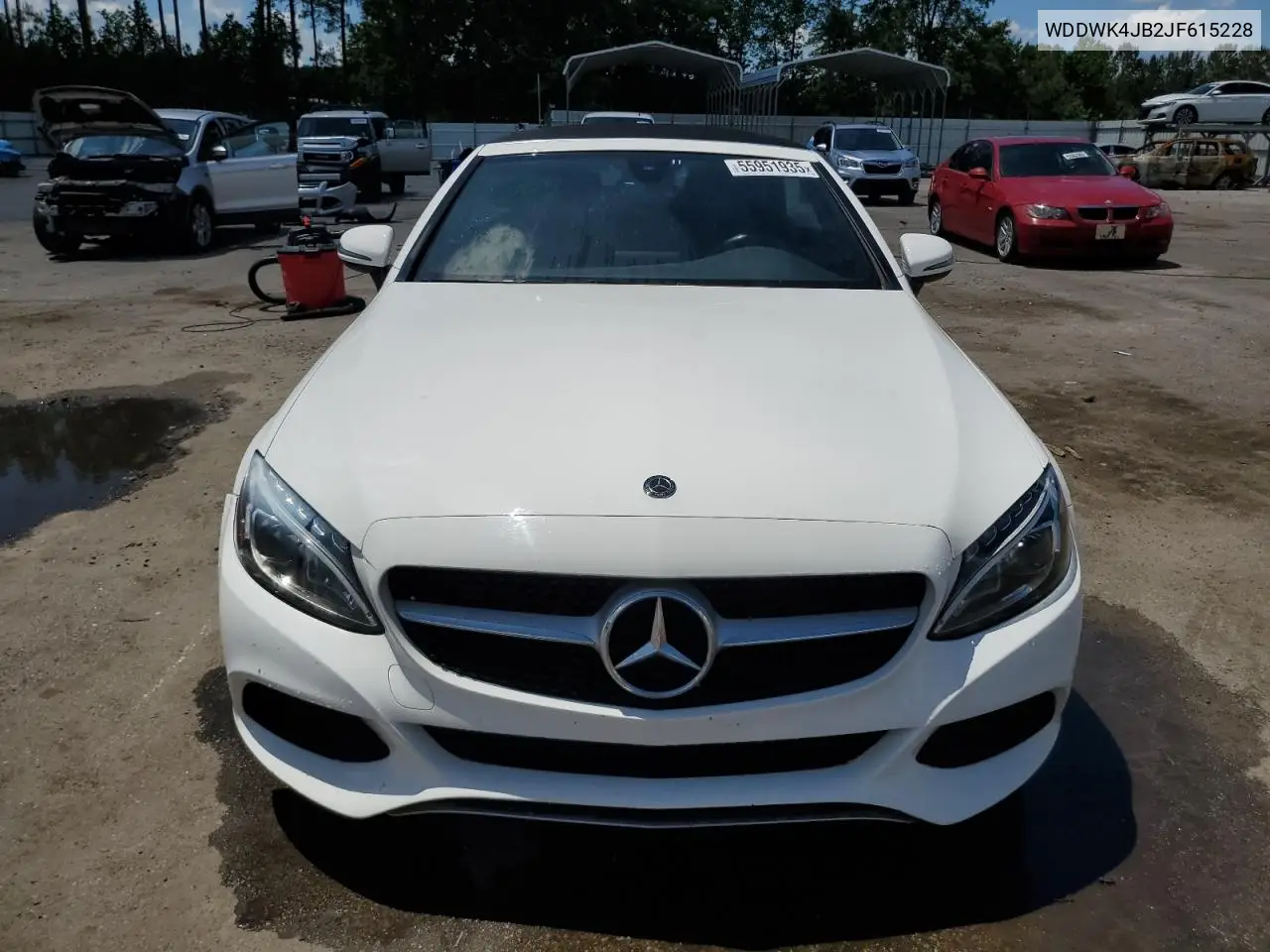2018 Mercedes-Benz C 300 VIN: WDDWK4JB2JF615228 Lot: 55951935