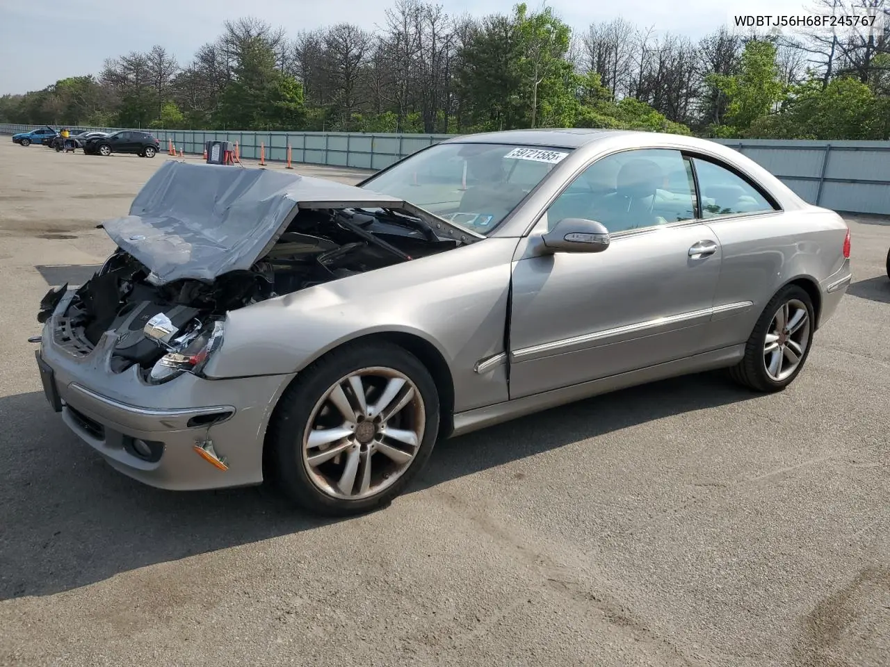 2008 Mercedes-Benz Clk 350 VIN: WDBTJ56H68F245767 Lot: 59721585